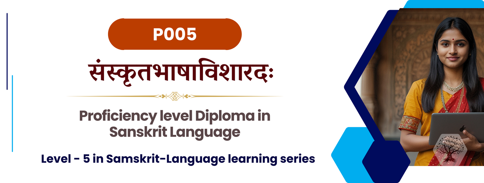 Proficiency level Sanskrit Language